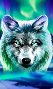 Wolf Fang - Northern Spirits